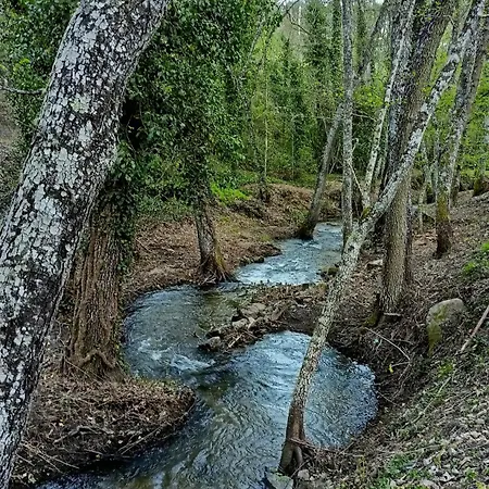 Vista Hermosa * Arenas de San Pedro