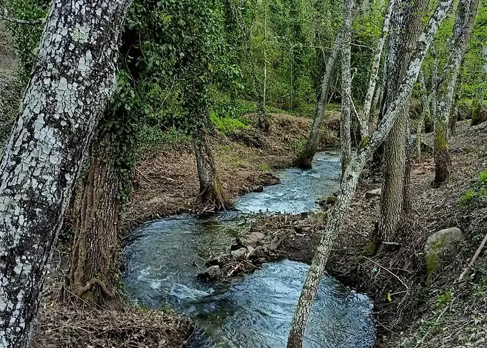 Vista Hermosa * Arenas de San Pedro
